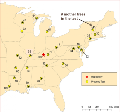 Progeny map